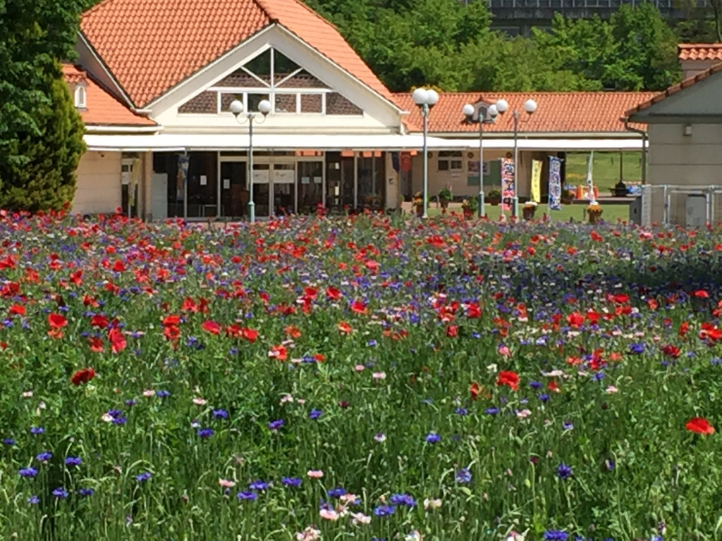 レストラン花みどりの写真(栃木県壬生町)