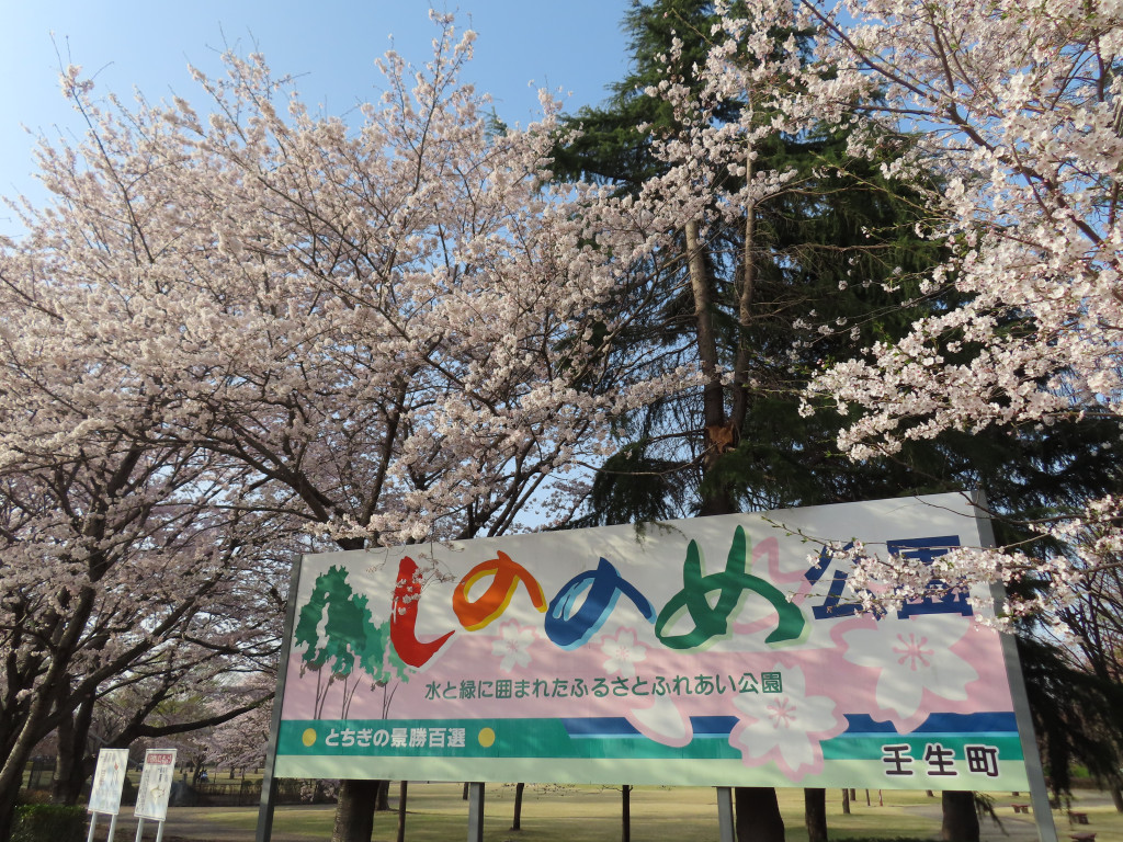 東雲公園の外観