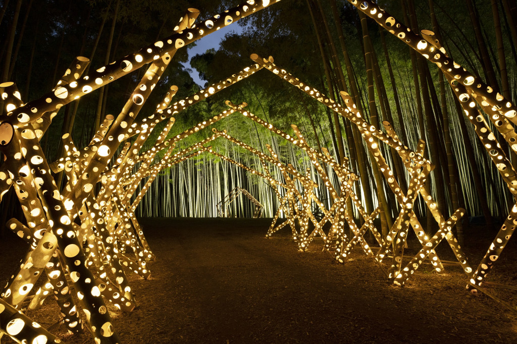 若竹の杜 若山農場 - Bamboo Winter Lights 2023 - | とちぎ旅ネット