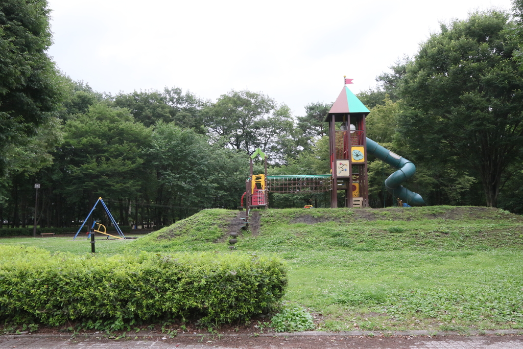 さくら市総合公園/市民プールの写真(栃木県さくら市)