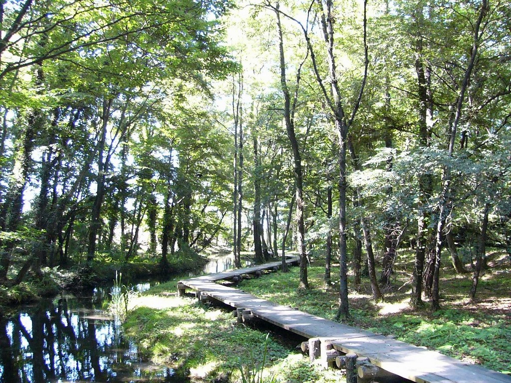 磯川緑地公園の写真(栃木県上三川町)
